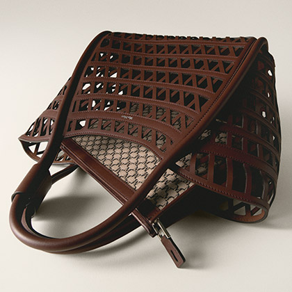 Bag Max Mara